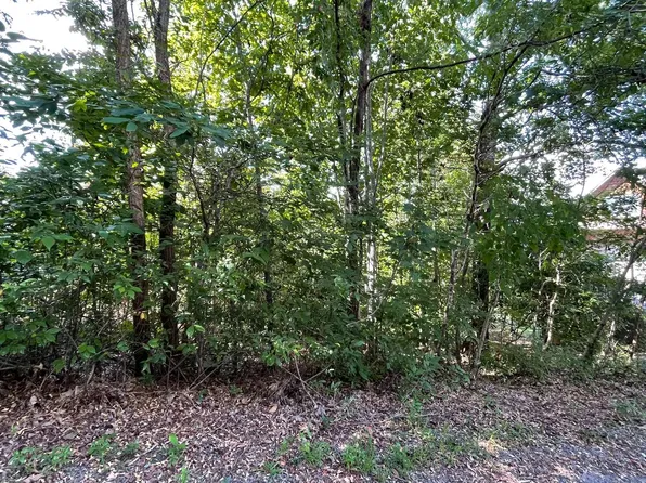 LOT 17 Ramey Mountain Rd, Hiawassee, GA 30546