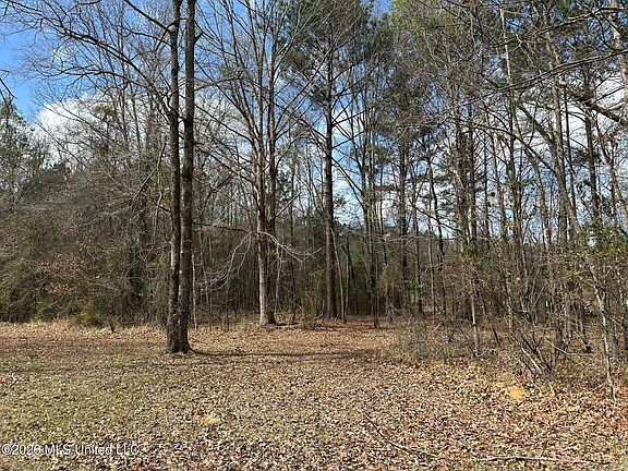 5th image of Barnes Rd