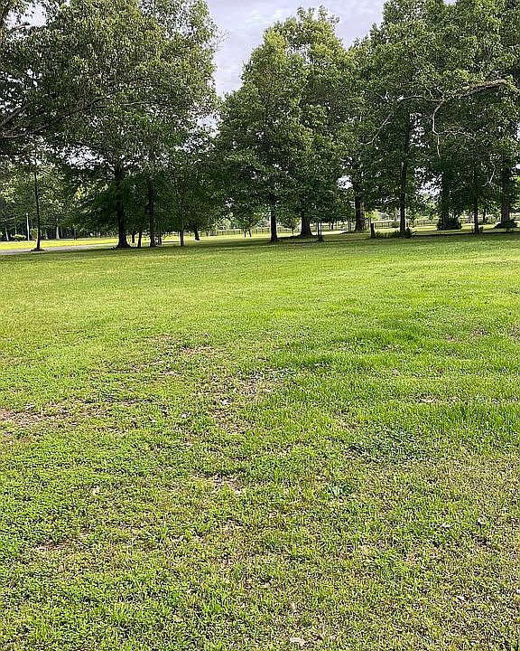Part of the lawn