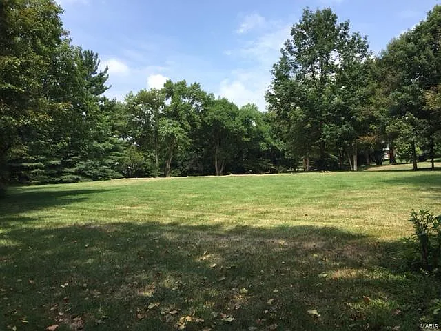 63 Trent Dr photo 1
