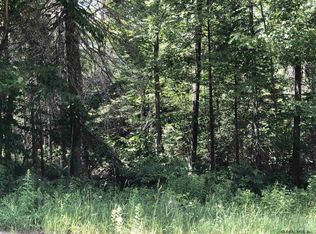 L3112 Parkerville Rd, Indian Lake, NY 12842