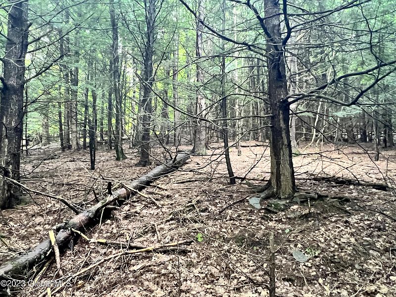2nd image of 325 Smith Road