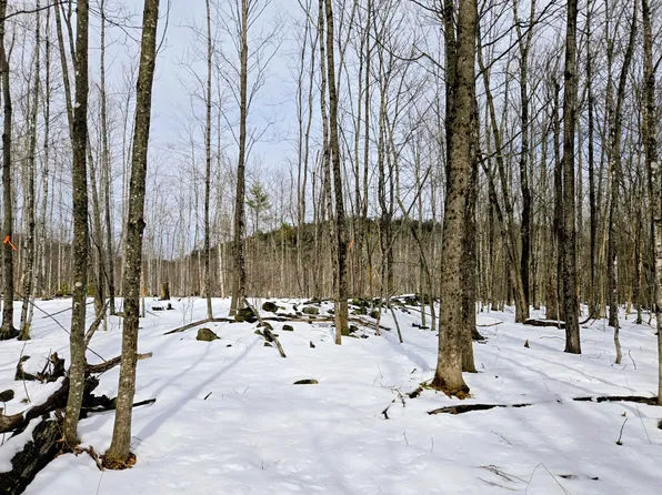 Lot 26 Canton Mountain Road, Jay, ME 04239