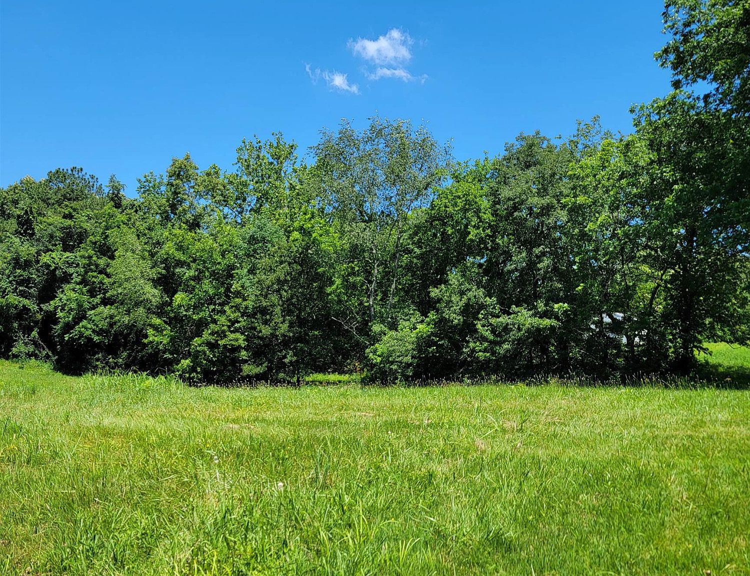 0 Waynick Rd, Jackson, TN 38305 MLS 222825 Zillow