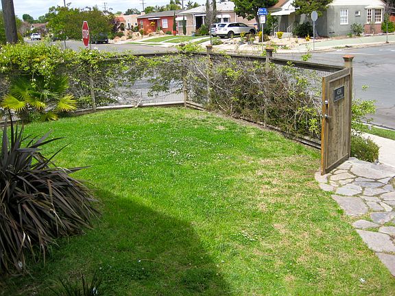 yard that circles the house