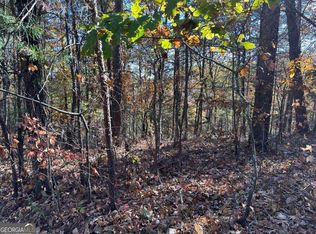 1685 Shade Tree Dr, Talking Rock, GA 30175