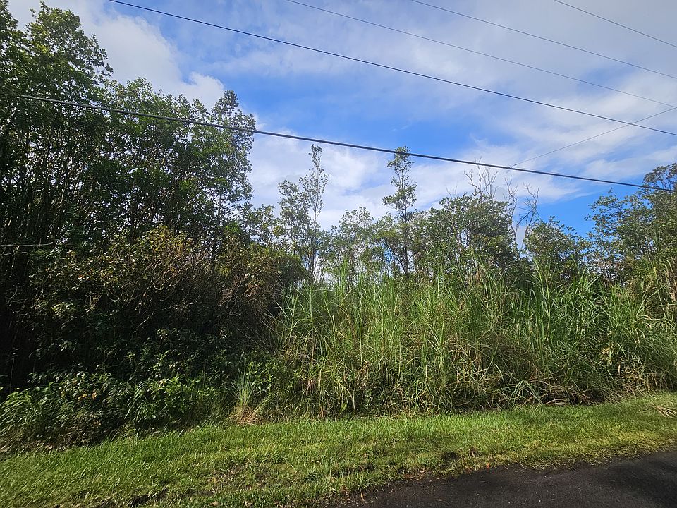2nd image of Hibiscus St Lot 7650