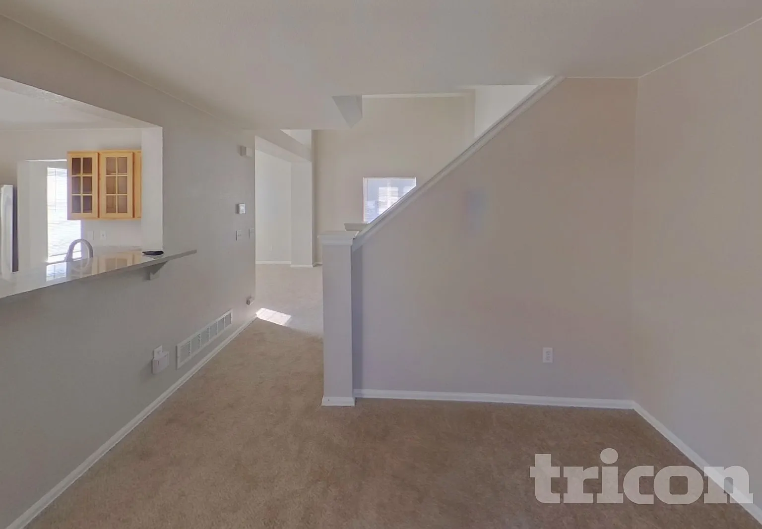 5315 Belle Star Dr Colorado Springs CO — Photo 4