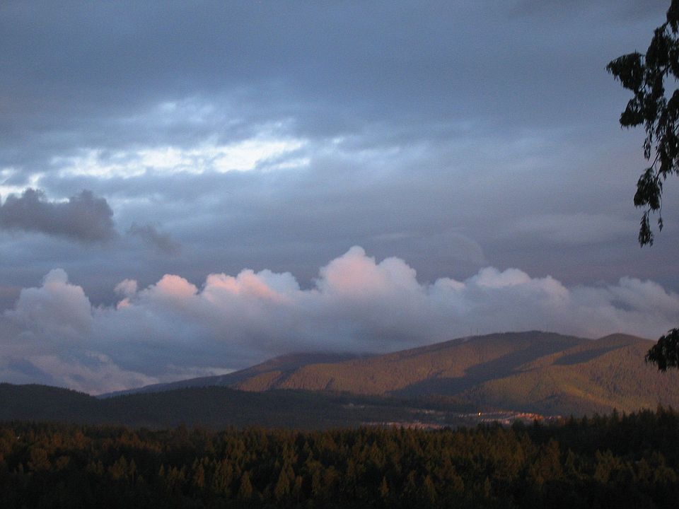 Tiger Mtn.