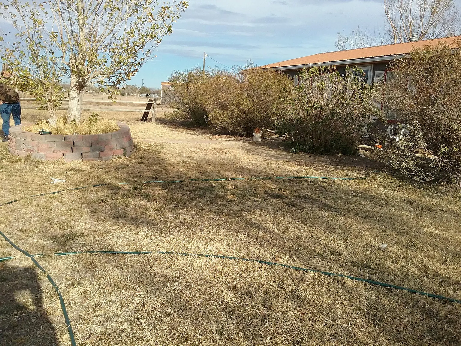 1501 Grove Ave — Photo 2