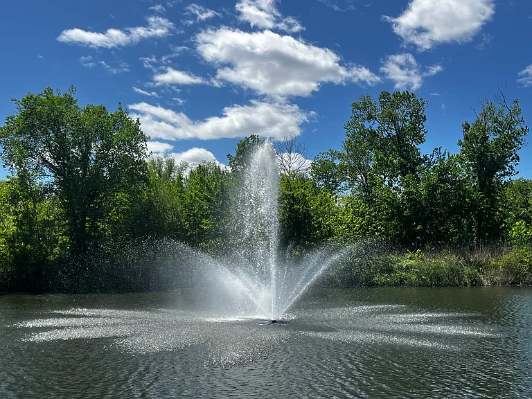 Park & lake view
