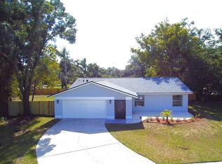 502 Hillside Ct, Brandon, FL 33510