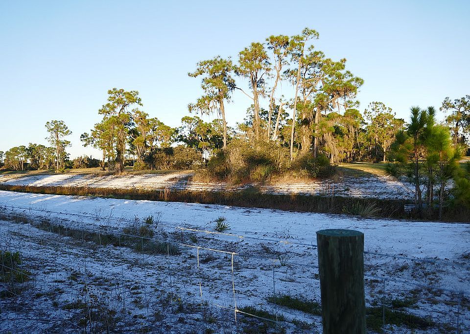 View From Back of Property  