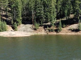2856 Blue Mesa Dr, Divide, CO 80814