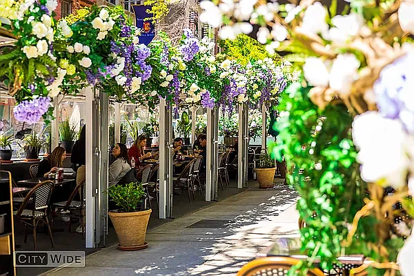 Rented by City Wide Apartments | media 14