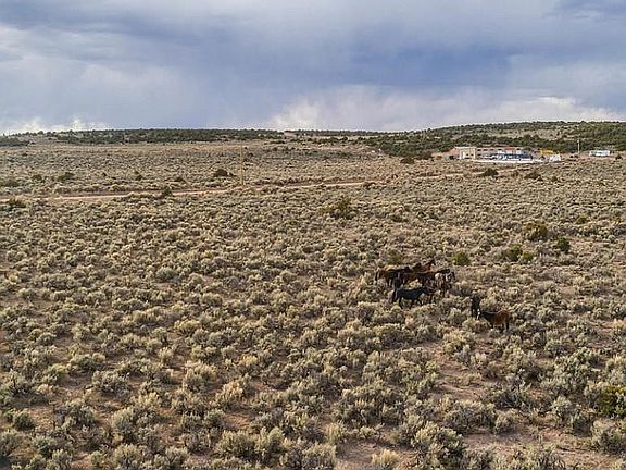 5th image of Wild Horse Dr