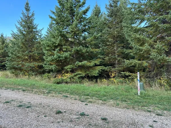 26797 Lidstrom Rd, Detroit Lakes, MN 56501