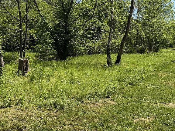 5th image of 915 Chestnut Valley Rd