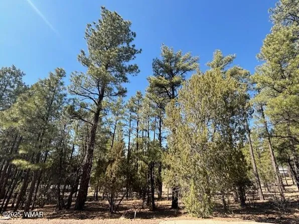 4790 W Hawthorn Rd Lot 53, Show Low, AZ 85901