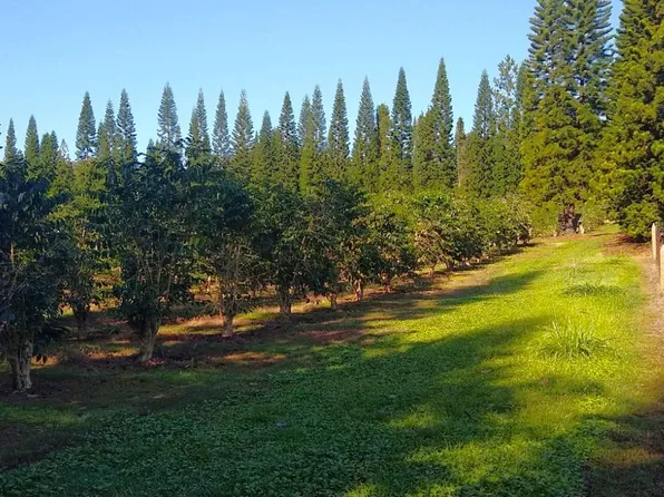 17 Moaula St, Pahala, HI 96777