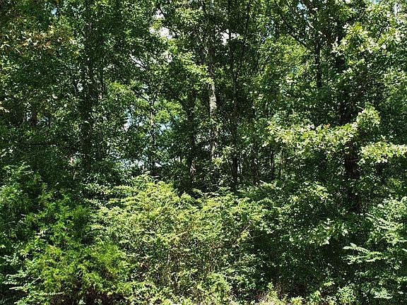 3rd image of 9 Shady Oaks Cv