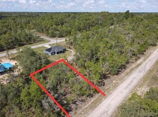 1512 W Pendleton St, Citrus Springs, FL 34434