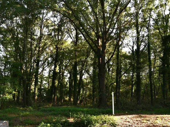 TRACT 2 Highway 213 #3828, Mansfield, GA 30055