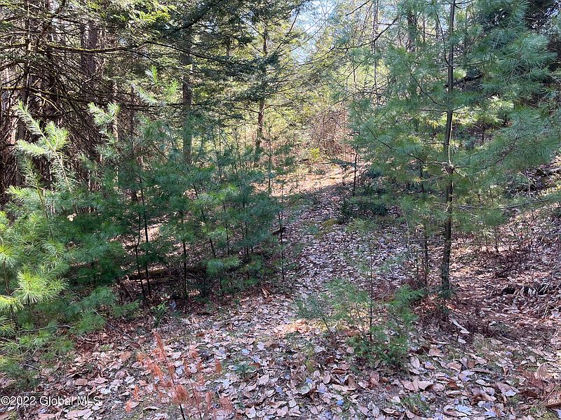 4th image of 0 ECHO LANE Road