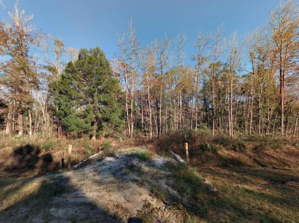 10710 W Deep Creek Blvd, Hastings, FL 32145