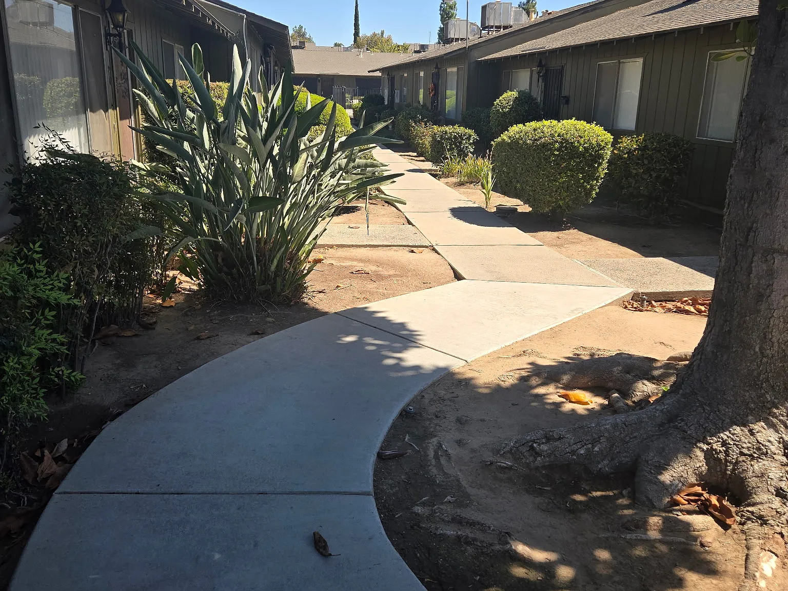 3840 N Fruit Ave — Photo 4
