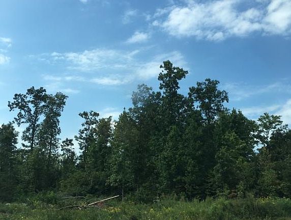 2nd image of 5731 Walters Ln