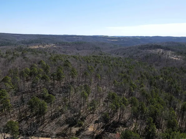 4429 Oyler Rd, Clinton, AR 72031