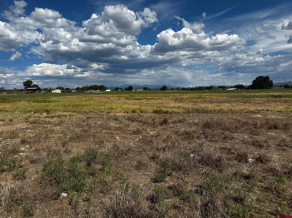 Lot 1AMD Lot:1A Road M, Dolores, CO 81323