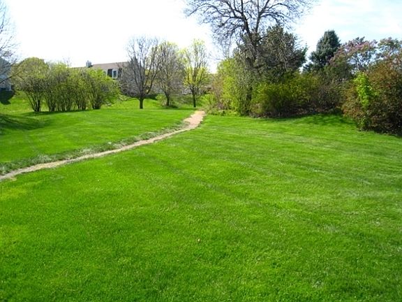 4th image of 7224 Saukdale Dr