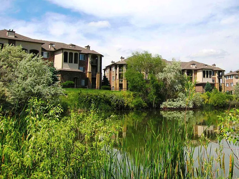 Serene Lake Views