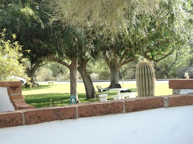380 S Paseo Aguila #A — Photo 16
