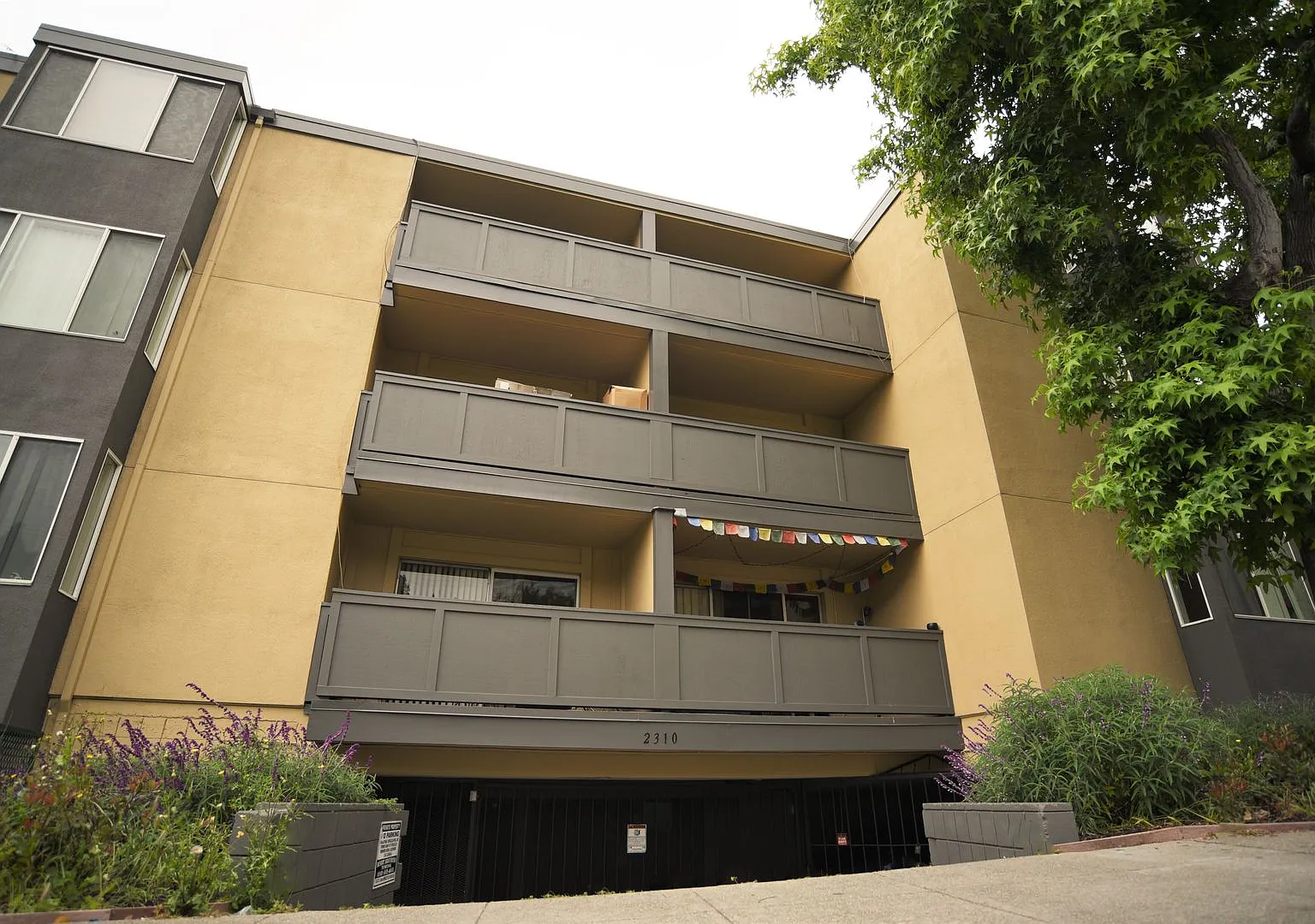 2310 Piedmont Ave — Photo 2