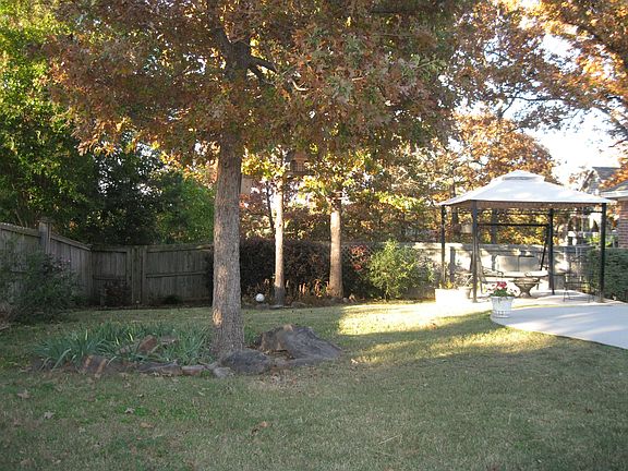 Back yard