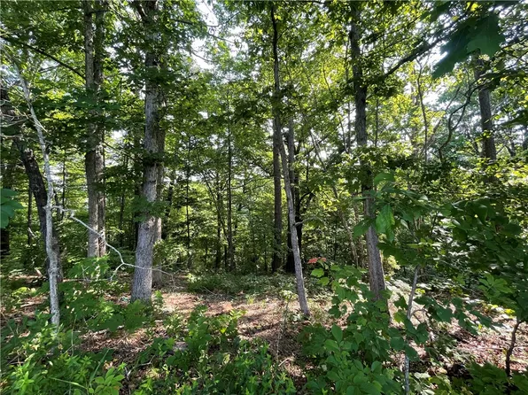 11956 High Sky Inn Rd, Rogers, AR 72758