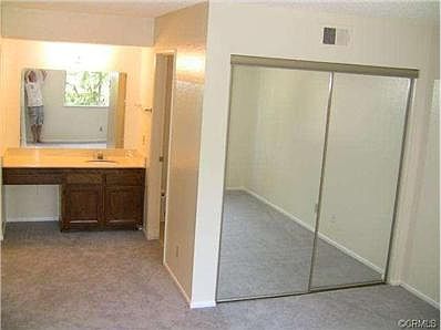 mirrored wardrobe doors