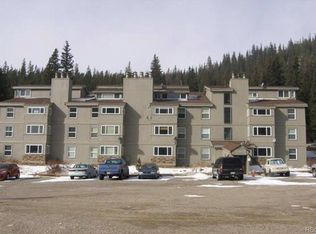 9366 Fall River Rd UNIT 301, Idaho Springs, CO 80452