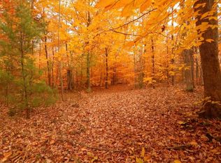 Simonelli Rd, Whitehall, MI 49461