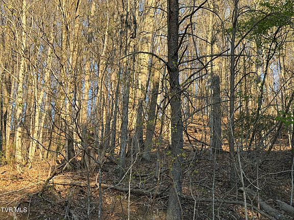 2nd image of Possum Hollow Rd