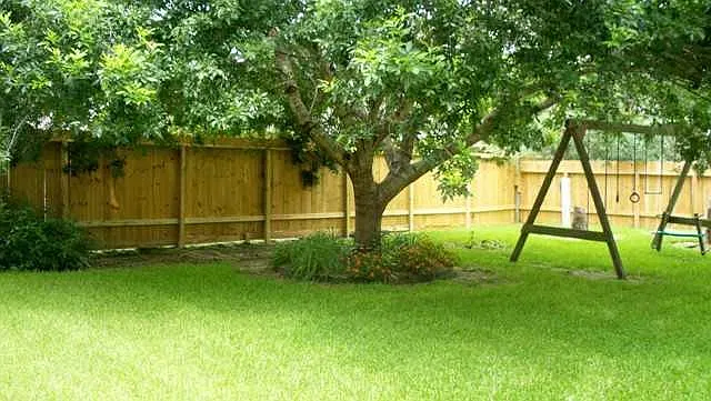 3 bed, 2.5 bath, 2059 sqft, $2,595 — Photo 4