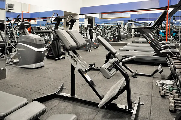 Rented by Douglas Elliman | media 4