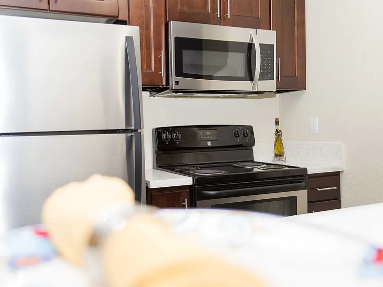 The Lodge at Porter Ranch Apartments — Photo 5