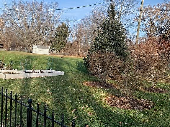 Back Yard View