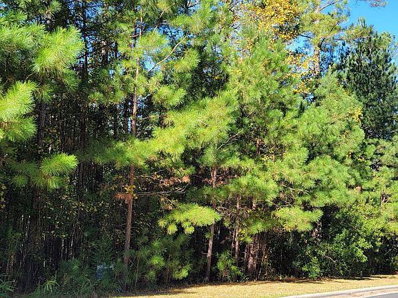 4th image of 33 Bob White Way #284I