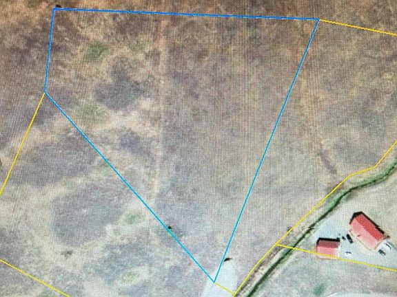 4th image of Nhn Tia Ln