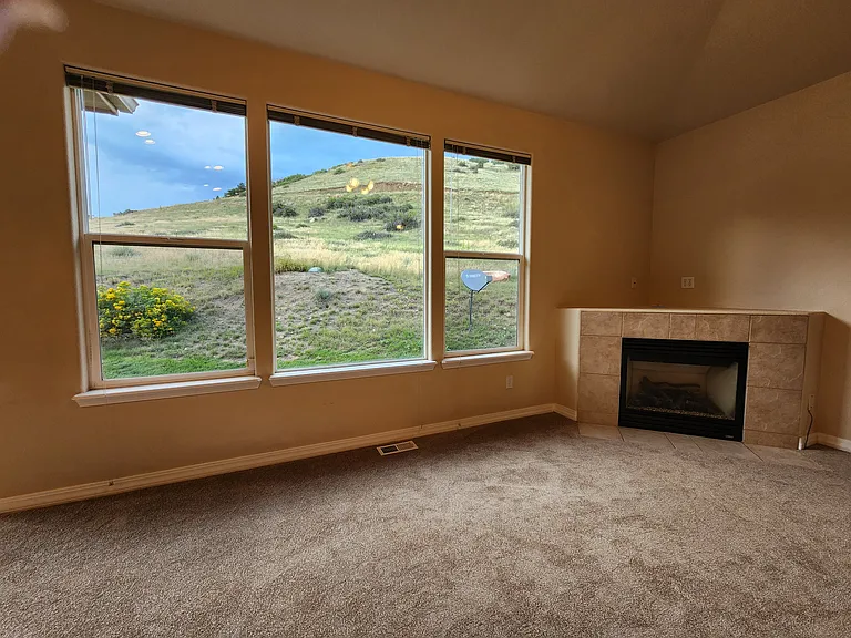 Main Level Family Room with Fireplace. View of backyard and open space from the Family Room - you also enjoy this view from the kitchen which is open to the Family Room.